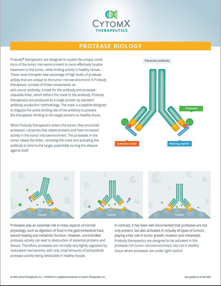 Protease Biology Fact Sheet